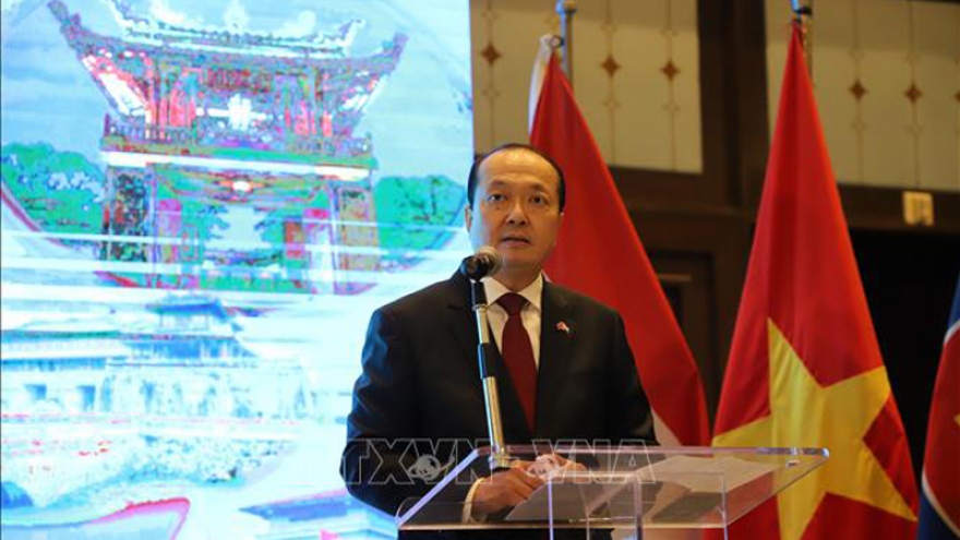 Vietnam and Egypt hold great potential for cooperation, says ambassador